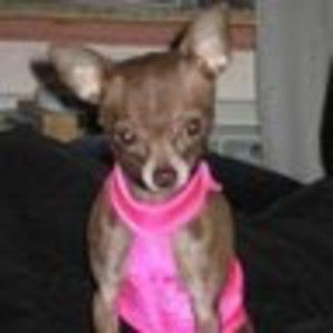 Meet your Posher, Eliseo